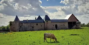 Visite guidée - Château de Villars